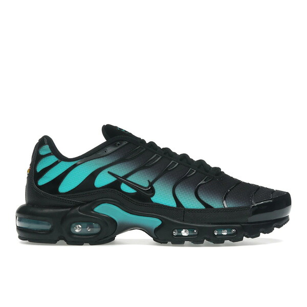 Nike ナイキ メンズ スニーカー  【Nike Air Max Plus Black Dusty Cactus】  大きさ US_7.5(25.5珊) Black/Dusty Cactus/Black