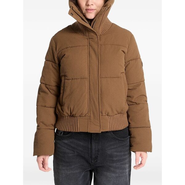 デジグアル レディース 上衣＆上衣 アウター Padded hooded puffer jacket Brown