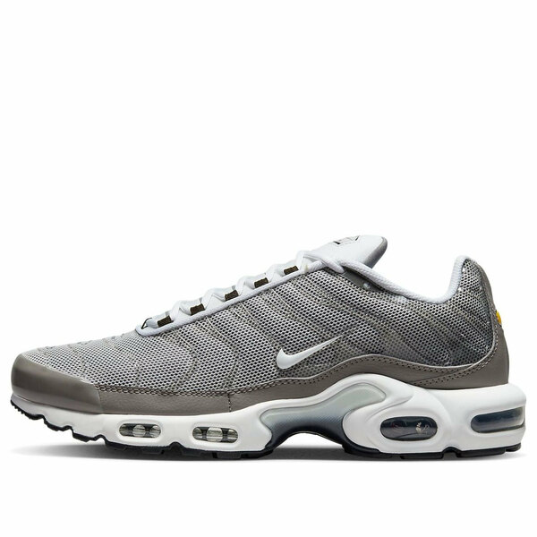 Nike ナイキ メンズ スニーカー  【Nike Air Max Plus SE \u0027Flat Pewter\u0027 DV7665-002】  大いさ US_10.5(28.5糎)