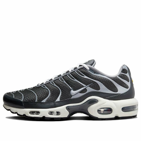 Nike ナイキ メンズ スニーカー  【Nike Air Max Plus SE \u0027Iron Grey\u0027 DZ2655-001】  大きさ US_8(26.0糎)
