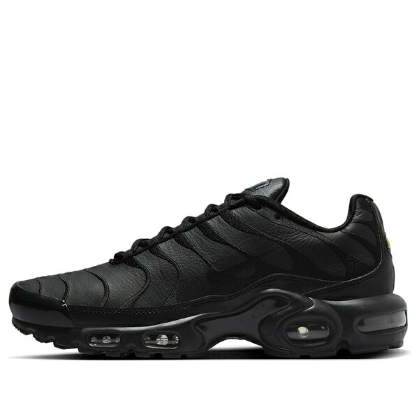 Nike ナイキ メンズ スニーカー 大気圏マックス 【Nike Air Max Plus TN \u0027Triple Black\u0027 AJ2029-001】  大きさ US_12(30.0糎)