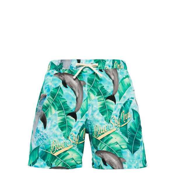 青碧 天の原 はたご屋 メンズ 心地よいズボン下 ボトムス Dolphin-print drawstring swim shorts Blue