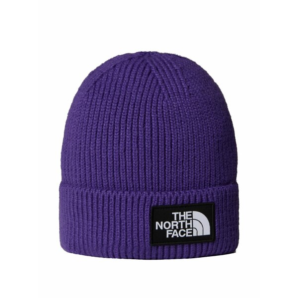 北の方人間の顔 メンズ 鳥打ち帽 付属物 Logo box beanie hat Purple