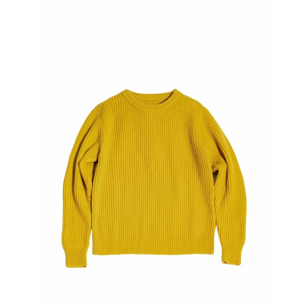 フォルテラ メンズ 編み物\u0026ティーシャツ アウター Alberto ribbed crew neck sweater Yellow