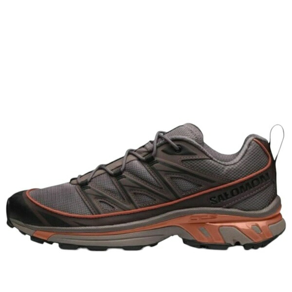 SALOMON サロモン メンズ スニーカー  【SALOMON XT-6 Expanse \u0027Iron Bracken\u0027 475732】  大きさ US_12(30.0糎)
