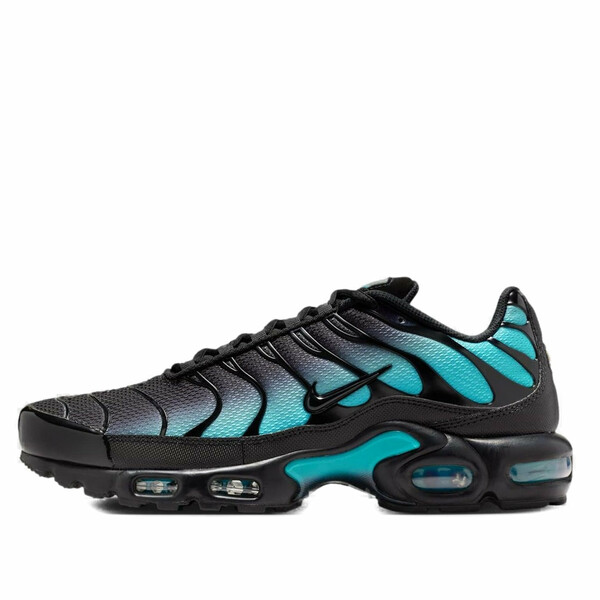 Nike ナイキ メンズ スニーカー 【Nike Air Max Plus 'Black Dusty Cactus' DM0032-016】 サイズ US_11(29.0cm)|asty