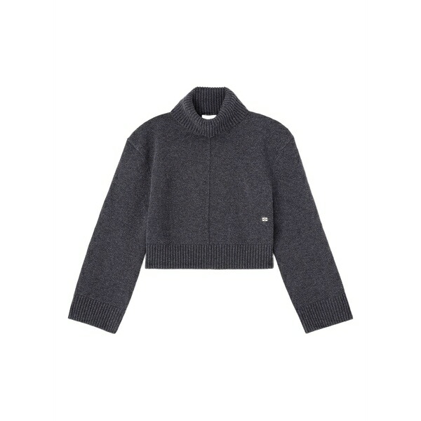 ガニー レディース ニット&セーター アウター Turtleneck sweater Grey|asty