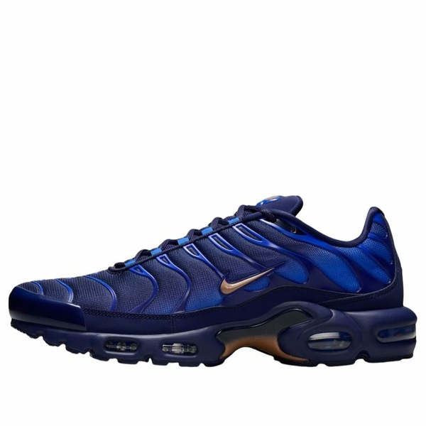 Nike ナイキ メンズ スニーカー  【Nike Air Max Plus \u0027French Football Federation\u0027 IQ0170-400】  大きさ US_M_15