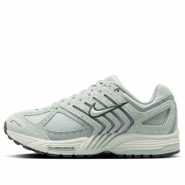 Nike ナイキ レディース スニーカー Pure Platinum/Platinum 【(WMNS) Nike Air Pegasus 2005 \u0027Wolf Grey Pure Platinum\u0027 HJ5271-001】  大きさ US_9.5(26.5糎)
