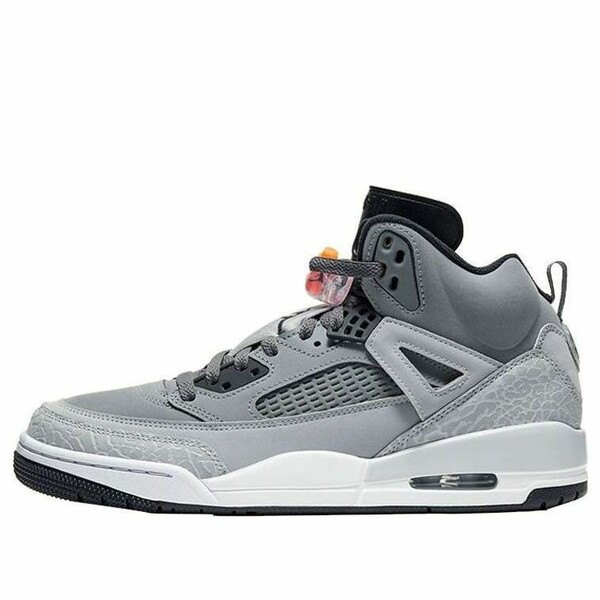 Jordan ジョーダン メンズ スニーカー  【Air Jordan Spizike \u0027Cool Grey\u0027 315371-008】  大いさ US_10(28.0糎)