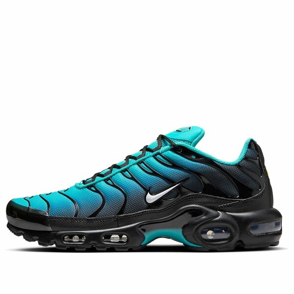 Nike ナイキ メンズ スニーカー  【Nike Air Max Plus \u0027Light Retro Blue\u0027 DM0032-401】  大きさ US_7.5(25.5糎)