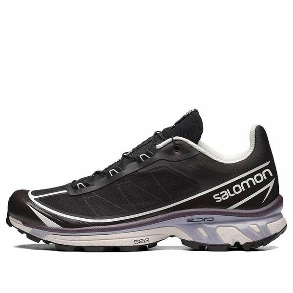SALOMON サロモン メンズ スニーカー 【SALOMON Xt-6 FT \u0027Black Silver\u0027 416204】  大きさ US_10(28.0糎)
