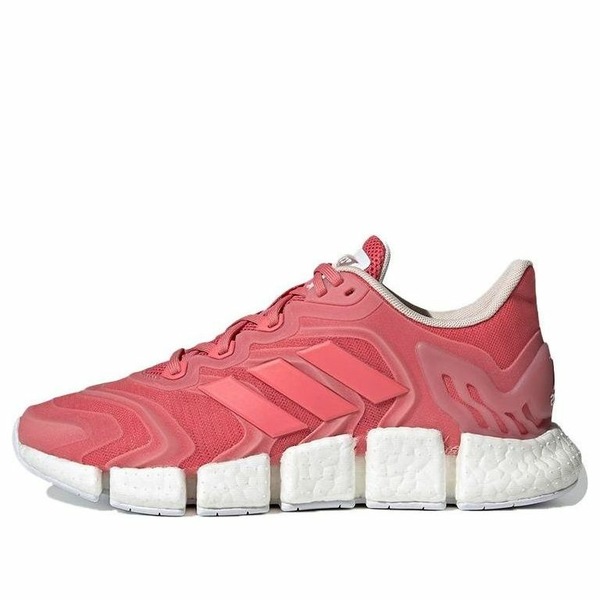adidas アディダス レディース スニーカー  【(WMNS) adidas Climacool Vento \u0027Hazard Rose\u0027 FW6841】  大きさ US_6(23.0糎)