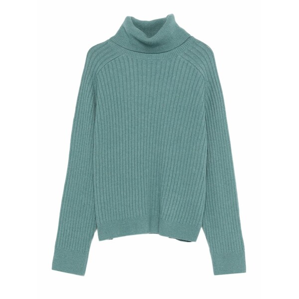 マルコポーロ レディース ニット&セーター アウター Turtleneck sweater Green｜asty