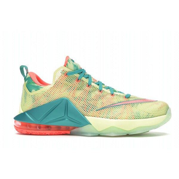 希少 NIKE lebron12 what the レブロン 12 ワットザ 【はこぽす対応