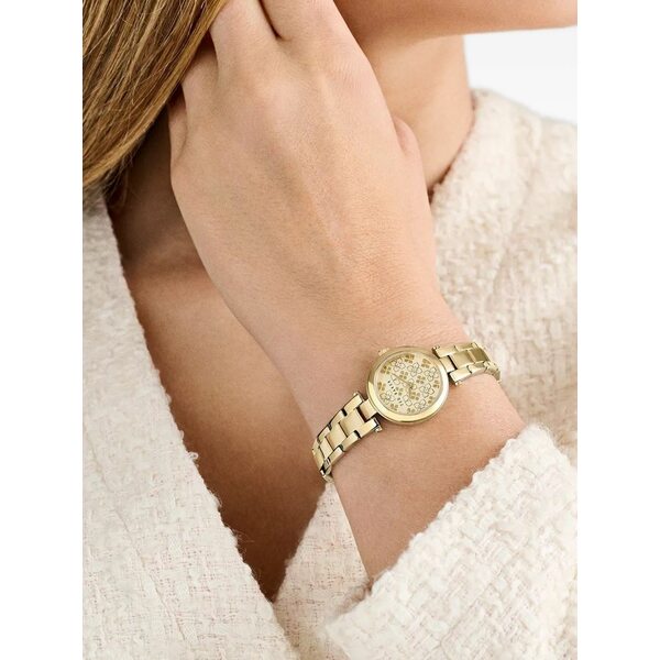 テッドベーカー レディース 腕時計 アクセサリー Jolyye 24mm Gold｜asty
