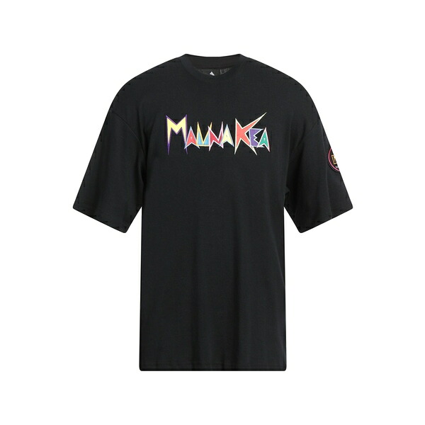 【貨物輸送無料】 マウナ 世話をする メンズ プルオーバー トップス T-shirts Black