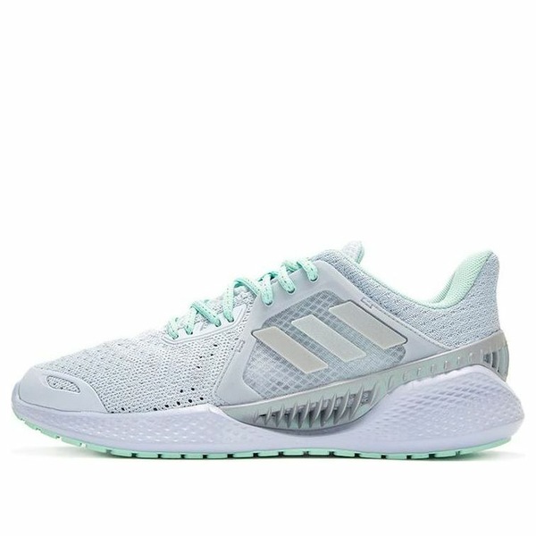 adidas アディダス レディース スニーカー 【(WMNS) adidas Climacool Vent 'Grey' FZ2405】 サイズ US_7(24.0cm)|asty