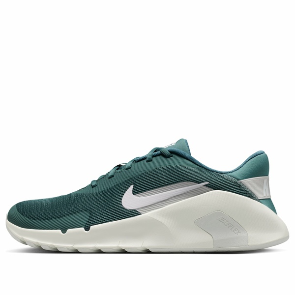 Nike ナイキ メンズ スニーカー 【Nike Flex Train 'Mineral Slate' HV9972-302】 サイズ US_11(29.0cm)｜asty