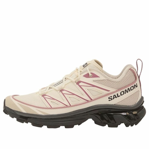 SALOMON サロモン メンズ スニーカー  【SALOMON XT-6 Expanse \u0027Vanilla Ice Dusky Orchid\u0027 479924】  大きさ US_11(29.0糎)