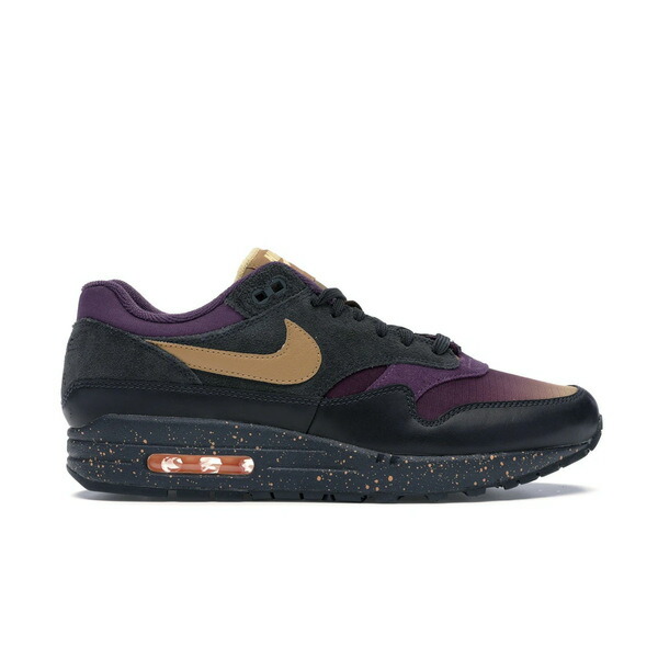 Nike ナイキ メンズ スニーカー  【Nike Air Max 1 Pro Purple Fade】  大きさ US_11.5(29.5珊) Anthracite/Pro Purple-Tangerine Tint-Elemental Gold