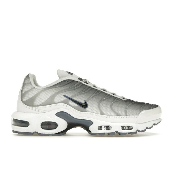 Nike ナイキ レディース スニーカー 【Nike Air Max Plus Smoke Grey Ashen Slate (Women's)】 サイズ US_W_12 Summit White/Smoke Grey/Ashen Slate/Black|asty