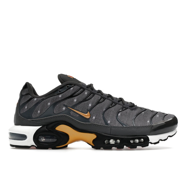 Nike ナイキ メンズ スニーカー  【Nike Air Max Plus Denim Twill】  大いさ US_M_13 Grey/Denim/Gold