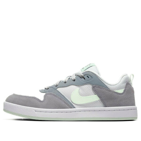 Nike ナイキ レディース スニーカー  【(WMNS) Nike SB Alleyoop \u0027Grey White\u0027 CQ0369-002】  大いさ US_8(25.0糎)
