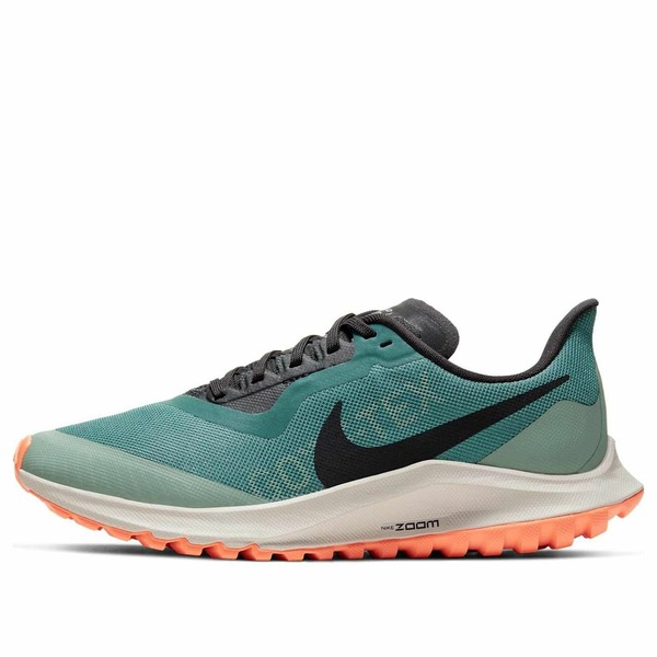 Nike ナイキ レディース スニーカー  【(WMNS) Nike Air Zoom Pegasus 36 Trail GTX \u0027Bicoastal\u0027 BV7763-300】  大きさ US_8(25.0珊)