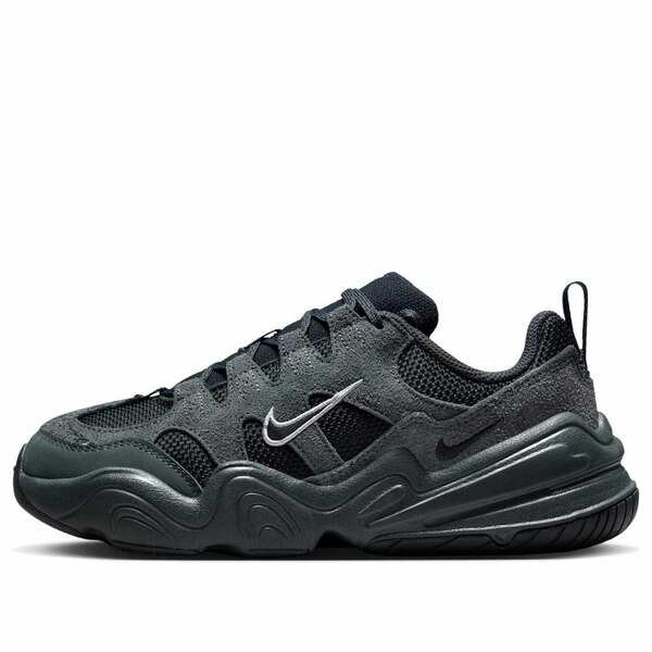 Nike ナイキ レディース スニーカー  【(WMNS) Nike Tech Hera \u0027Anthtacite\u0027 DR9761-003】  大きさ US_5.5(22.5珊)