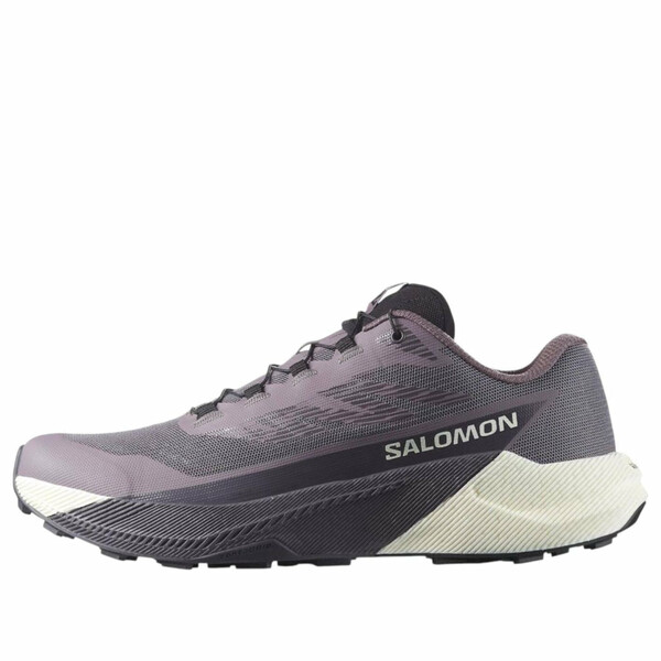 SALOMON サロモン レディース スニーカー 【(WMNS) SALOMON Pulsar 'Excalibur Vanilla Ice' 479755】 サイズ US_5.5(22.5cm)｜asty