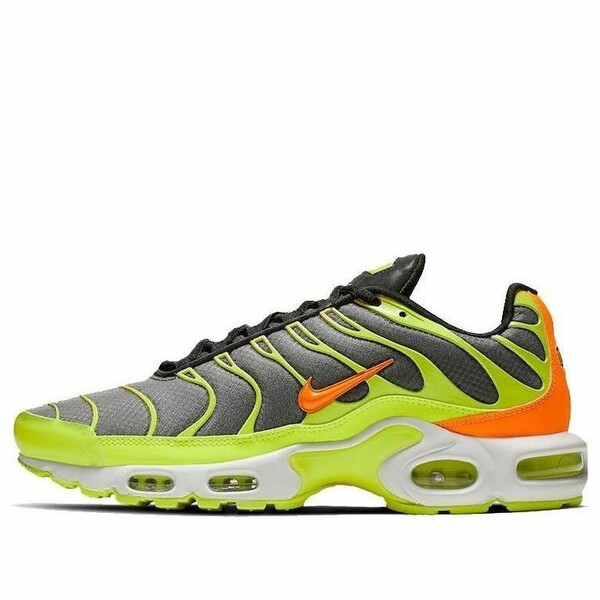Nike ナイキ メンズ スニーカー  【Nike Air Max Plus \u0027Color Flip\u0027 CI5924-061】  大いさ US_8(26.0糎) スニーカー-靴-メンズ靴