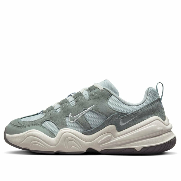 Nike ナイキ レディース スニーカー  【(WMNS) Nike Tech Hera \u0027Mica Green Grey\u0027 DR9761-001】  大きさ US_6.5(23.5糎)