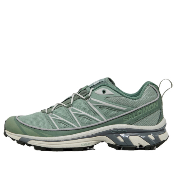 SALOMON サロモン メンズ スニーカー 【SALOMON XT-6 Expanse 'Lily Pad Pewter' 471342】 サイズ US_6(24.0cm)|asty