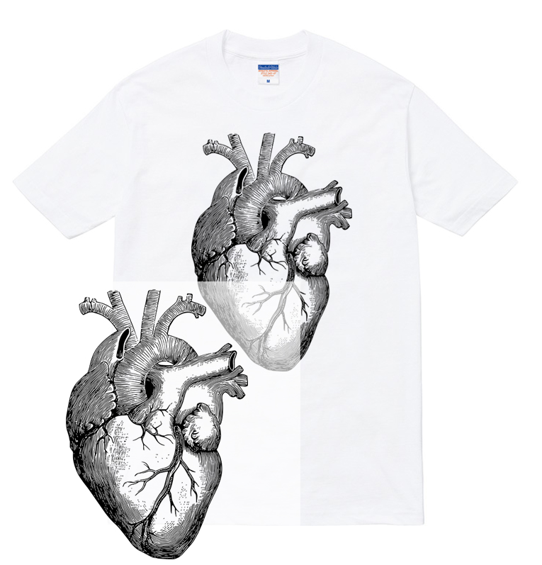 楽天市場 Heart Tシャツ 心臓 ハート 臓器 アナトミー アナトミカル 解剖図 人体 人間 おしゃれ 人気 プリント デザイン グラフィック ストリート メンズ レディース 半袖 Tee Tシャツ Astylejapan