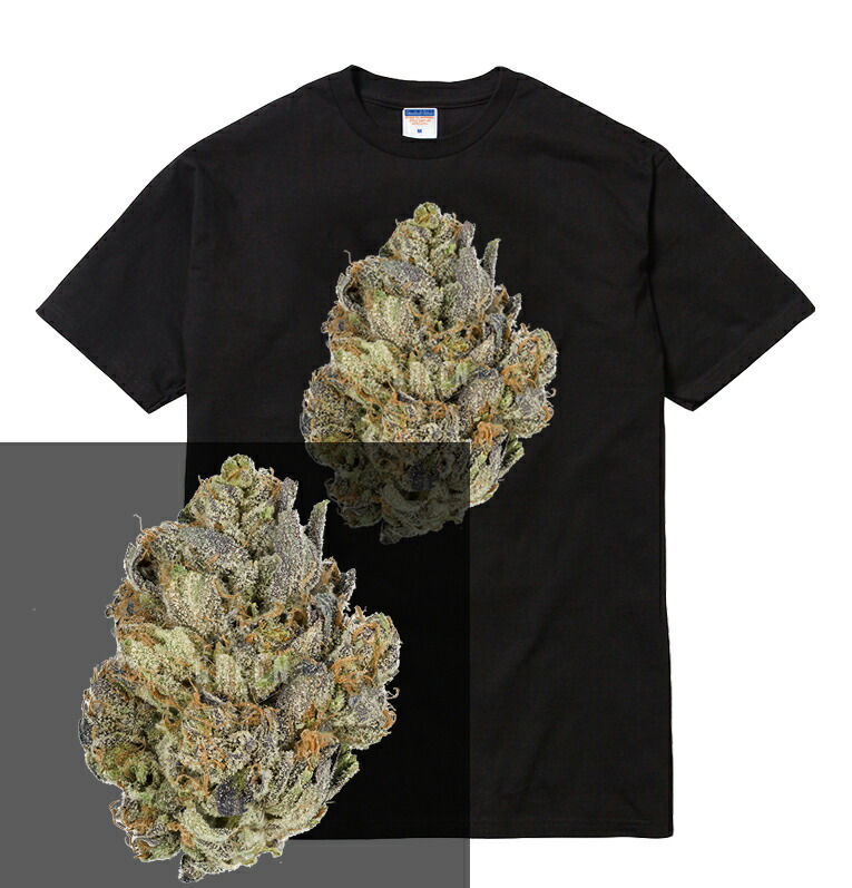 楽天市場】SMOKE EVERYDAY tシャツ 半袖 weed 420 ガンジャ マリファナ バッズ 大麻 weed サティバ インディカ kush  クッシュ シンセミア 三角形 メンズ レディース ダンス 衣装 HIPHOP ストリート ブランド tee Tシャツ : AstyleJapan