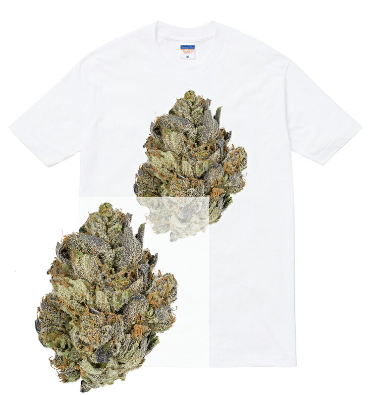 楽天市場 Buds Tシャツ ガンジャ 4 大麻 マリファナ Weed ウィード Cbd 写真 Photo バッズ 種 Smoke スモーク Thc フォト 合法 ファッション ストリート Hiphop メンズ レディース ブランド Tee Tシャツ Astylejapan