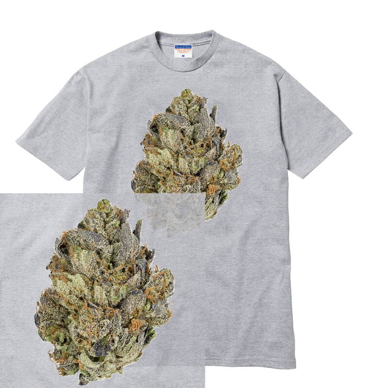 楽天市場 Buds Tシャツ ガンジャ 4 大麻 マリファナ Weed ウィード Cbd 写真 Photo バッズ 種 Smoke スモーク Thc フォト 合法 ファッション ストリート Hiphop メンズ レディース ブランド Tee Tシャツ Astylejapan