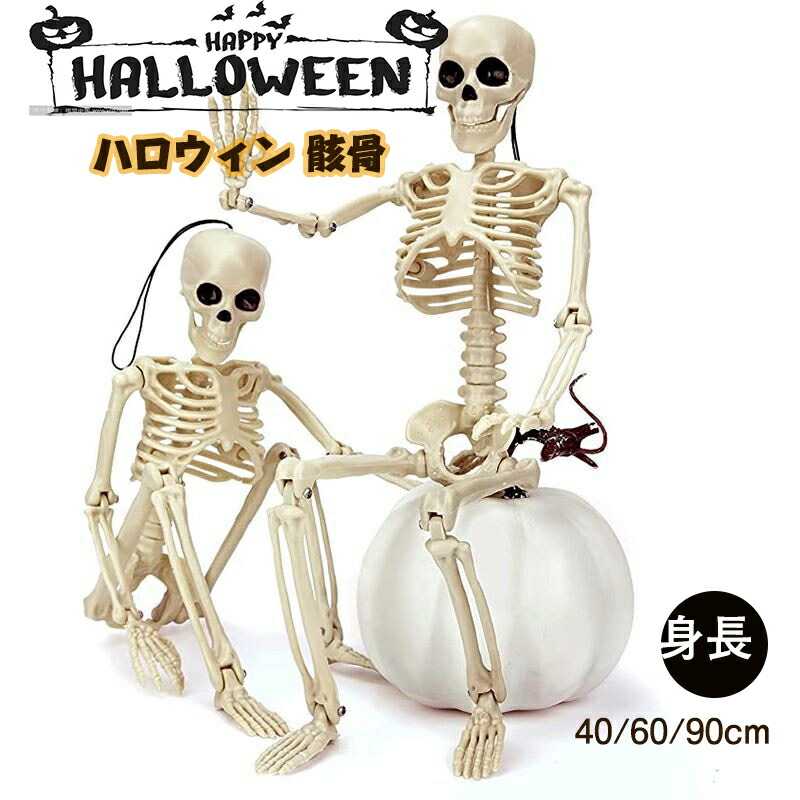 楽天市場】40/70/90/165/185CM ハロウィン 骸骨 ガイコツ 骨
