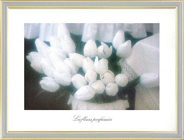 【絵画】『香りの花』複製画■新品★｜アート明日香