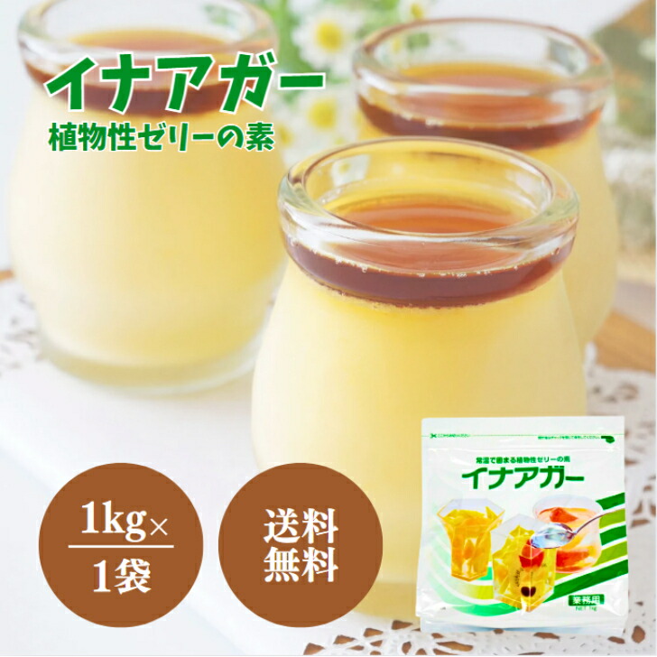 楽天市場】伊那食品 イナアガーL 500g 業務用 ゼリー 植物性 お菓子
