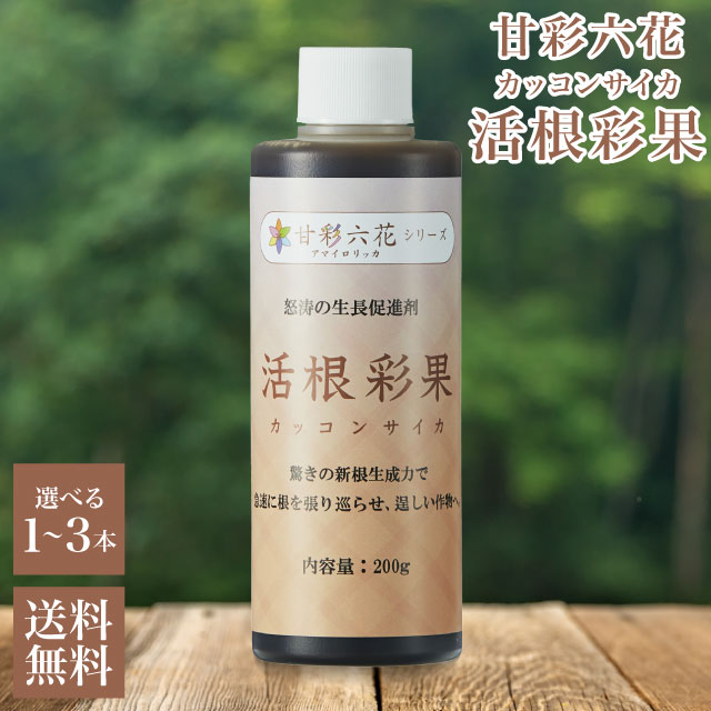 楽天市場】肥料 活根彩果 カッコンサイカ 2kg 濃縮タイプ 液体肥料