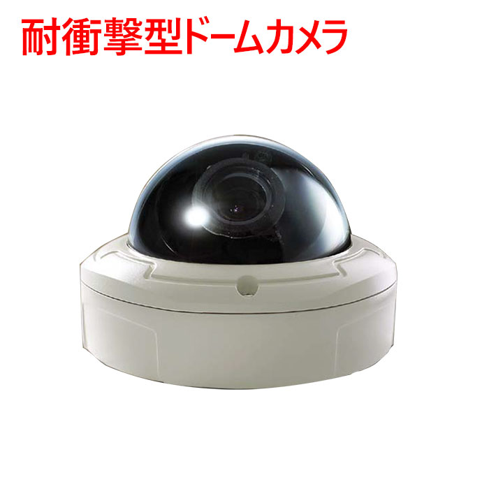 【防犯写真機 室外学生寄宿舎】耐衝撃型ドームカメラ SD-VD2000