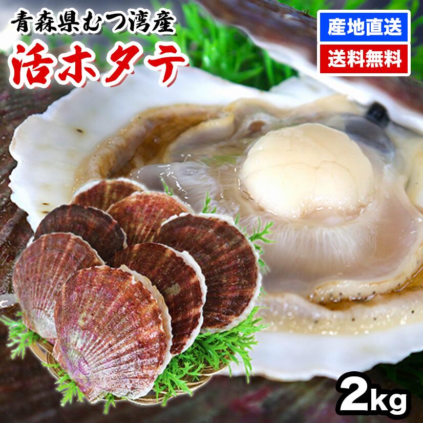 ＼30％OFF★6/11まで!!／【国産大粒★鮮度抜群！】ほたて 2kg ホタテ ホタテ貝柱 帆立 大容量 ほたて貝柱  活ホタテ【青森県産】【送料無料】【チルド便】【新鮮】【鮮度命】【バーベキュー】【BBQ】 | 高まる美食店