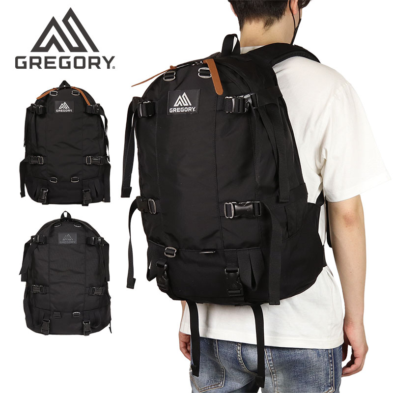 楽天市場】GREGORY グレゴリー フラッシュデイ HDナイロン 89600