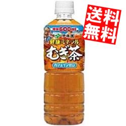 ② 伊藤園 健康ミネラルむぎ茶 600ml 24本入りを2,640円(1本/110円)で購入!!