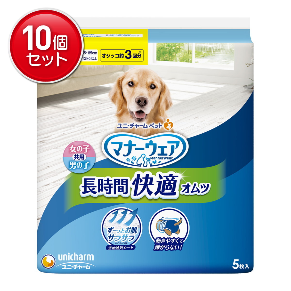 2026 新発売 新生産品 特集