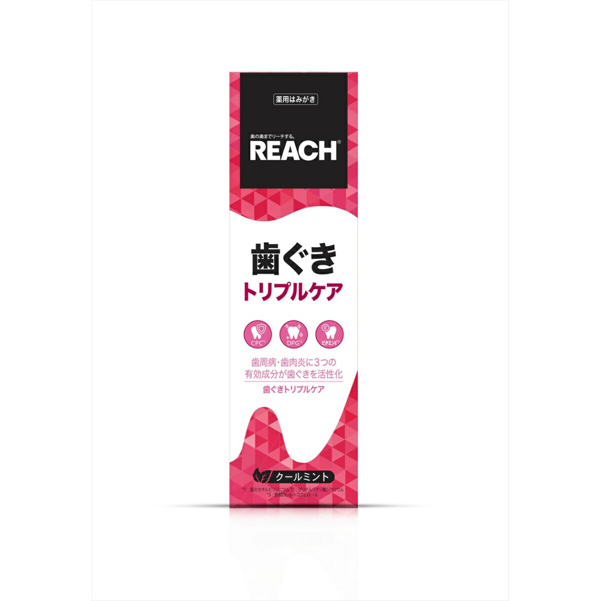 【送料込・まとめ買い×40点セット】銀座ステファニー リーチ 歯ぐき トリプルケア 歯みがき 120g