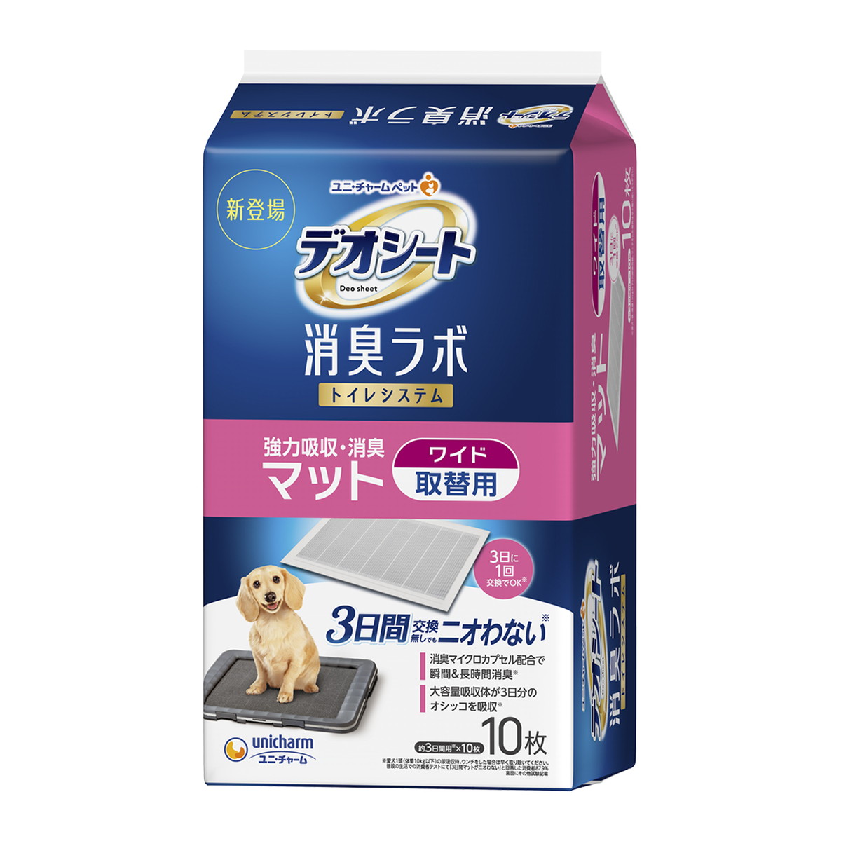 ＼往々にして置き換え／★姫流で使える銀行割引クーポン券・お得音沙汰★