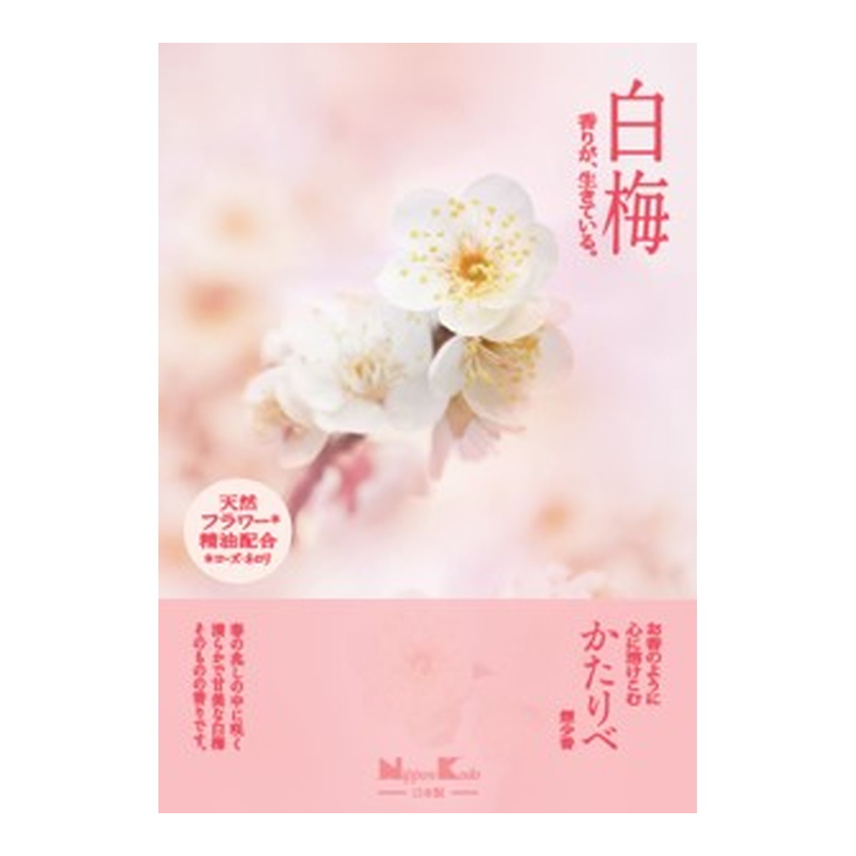 2026 新発売 新生産品 特集